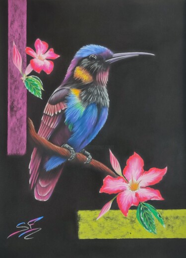 Drawing titled "Hummingbird" by Sylvie F. Pastel Art, Original Artwork, Pastel