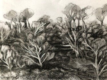 Drawing titled "Forêt" by Sylvie Lamande, Original Artwork, Graphite