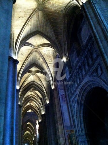 Photographie intitulée "cathédrale" par Sylvie Léandre, Œuvre d'art originale