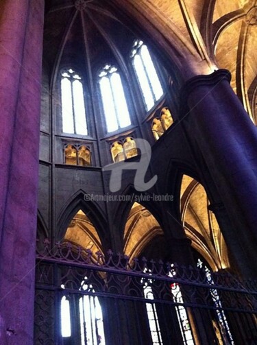 Photographie intitulée "cathédrale 2" par Sylvie Léandre, Œuvre d'art originale