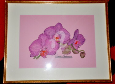 Peinture intitulée "les orchidées" par Sylvie Léandre, Œuvre d'art originale, Aquarelle