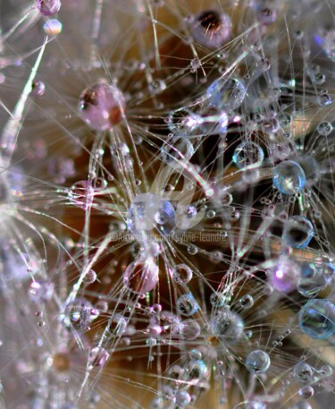 Photographie intitulée "cristalline" par Sylvie Léandre, Œuvre d'art originale
