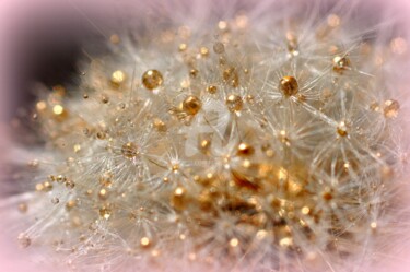 Photographie intitulée "fleur précieuse" par Sylvie Léandre, Œuvre d'art originale