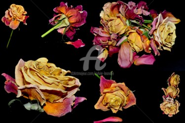 Photographie intitulée "les-roses" par Sylvie Léandre, Œuvre d'art originale