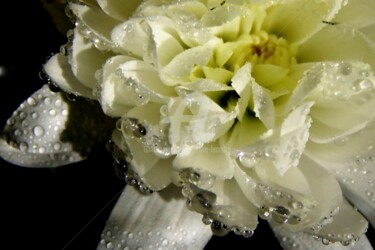 Photographie intitulée "habillée de pluie" par Sylvie Léandre, Œuvre d'art originale