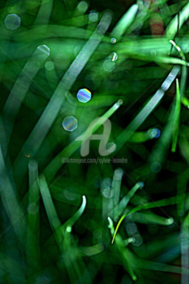Photography titled "vert" by Sylvie Léandre, Original Artwork