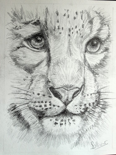 Dessin intitulée "tête de tigre" par Sylvie Ollivier, Œuvre d'art originale, Conté