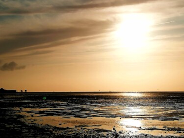 Photographie intitulée "Soleil doré" par Sylvie Metayer, Œuvre d'art originale, Photographie numérique