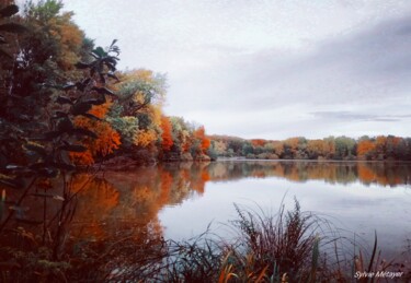 Photographie intitulée "Lac de Malsaucy" par Sylvie Metayer, Œuvre d'art originale, Photographie numérique