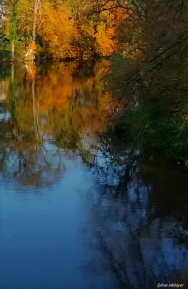 Photography titled "Reflet d'Automne" by Sylvie Metayer, Original Artwork, Digital Photography