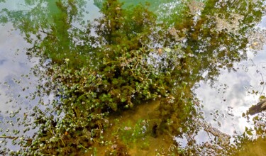 Photographie intitulée "Au fil de l'eau" par Sylvie Metayer, Œuvre d'art originale, Photographie numérique