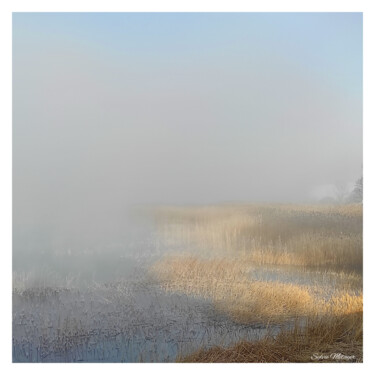 Fotografía titulada "Les champs du lac" por Sylvie Metayer, Obra de arte original, Fotografía digital