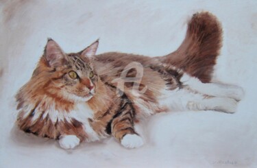 Painting titled "Maine Coon" by Sylvie Nicoloso, Original Artwork, Oil