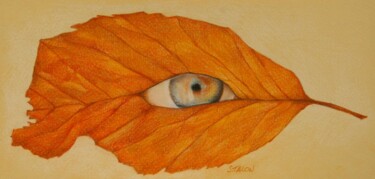 Рисунок под названием "Foeil" - Sylvie Talon, Подлинное произведение искусства, Карандаш