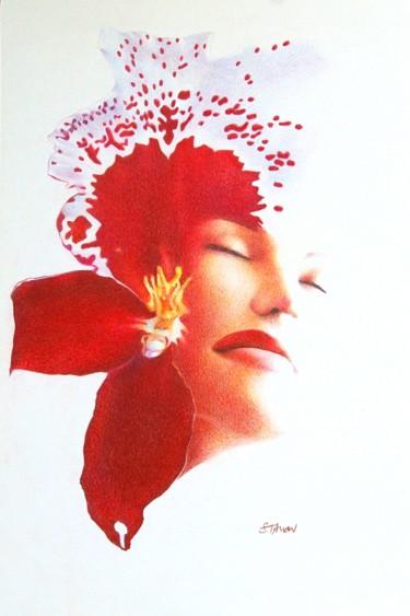 Drawing titled "Orchidée" by Sylvie Talon, Original Artwork, Pencil