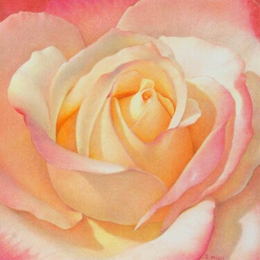 Disegno intitolato "Cœur de rose" da Sylvie Talon, Opera d'arte originale, Matita
