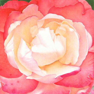 Dessin intitulée "Cœur de rose 3" par Sylvie Talon, Œuvre d'art originale, Crayon