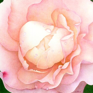 图画 标题为“Cœur de rose 4” 由Sylvie Talon, 原创艺术品, 铅笔