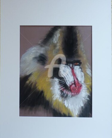 Painting titled "mandrill" by Sbx, Original Artwork