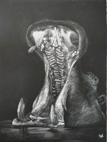 Drawing titled "Quoi ma gueule ?" by Sylvie Lescan, Original Artwork, Pastel
