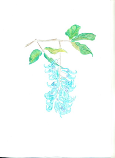 Drawing titled "Liane de jade" by Sylvie Prette, Original Artwork, Pencil