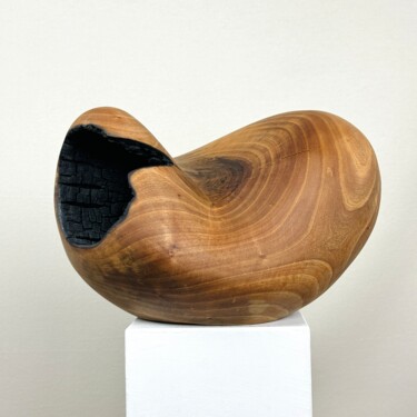 Skulptur mit dem Titel "Bean II" von Sylvio Eisl, Original-Kunstwerk, Holz
