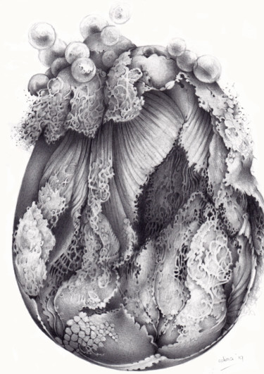 图画 标题为“Hatching” 由Symona Colina, 原创艺术品, 石墨