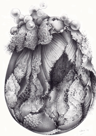 Tekening getiteld "Hatching" door Symona Colina, Origineel Kunstwerk, Grafiet