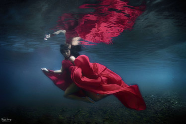 Photographie intitulée "L'envole aquatique" par Thierry Nikolaeff, Œuvre d'art originale, Photographie numérique