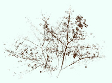 Digitale Kunst getiteld "tree" door Tom Schrijver, Origineel Kunstwerk