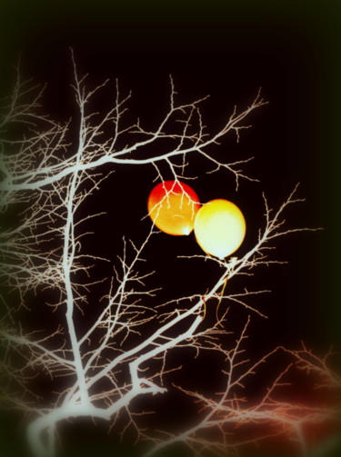 Photography titled "2 balloons" by Tom Schrijver, Original Artwork, Manipulated Photography