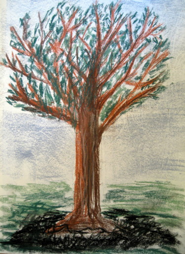 Tekening getiteld "tree" door Tom Schrijver, Origineel Kunstwerk, Pastel