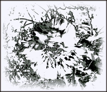 Photography titled "shattered flower" by Tom Schrijver, Original Artwork, Manipulated Photography
