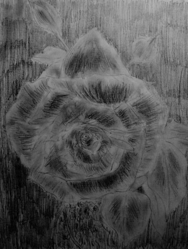 Tekening getiteld "flower" door Tom Schrijver, Origineel Kunstwerk, Potlood