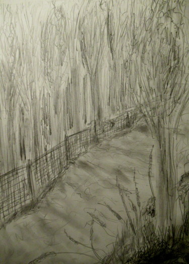 Tekening getiteld "forest path" door Tom Schrijver, Origineel Kunstwerk, Potlood