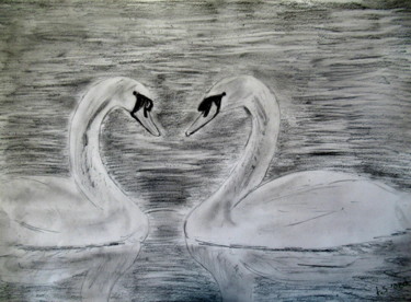 Tekening getiteld "two swans" door Tom Schrijver, Origineel Kunstwerk, Potlood