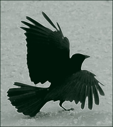 Photographie intitulée "black silhouette" par Tom Schrijver, Œuvre d'art originale, Photographie numérique