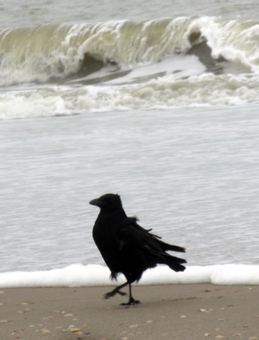 Φωτογραφία με τίτλο "crow wave" από Tom Schrijver, Αυθεντικά έργα τέχνης, Ψηφιακή φωτογραφία