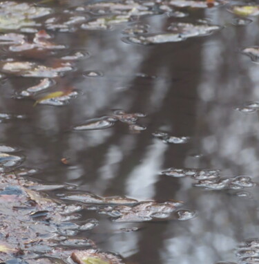Photography titled "Autumn Reflection" by Tom Schrijver, Original Artwork, Digital Photography