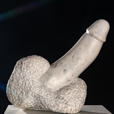 Скульптура под названием "Phallus" - Tahir Gavrilovic, Подлинное произведение искусства, Камень