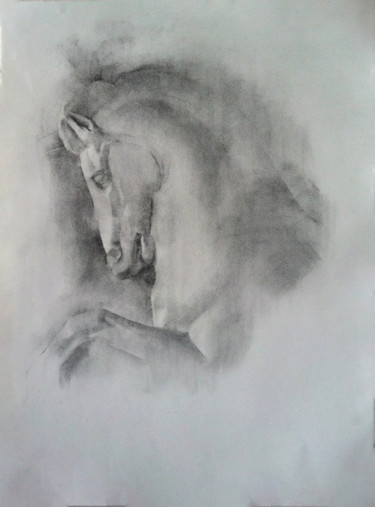 Drawing titled "Horse.jpg" by Tal Porat, Original Artwork, Charcoal