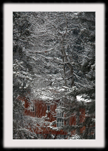 Φωτογραφία με τίτλο "Forest Dwelling" από Sarna, Αυθεντικά έργα τέχνης, Ψηφιακή φωτογραφία Τοποθετήθηκε στο Χαρτόνι