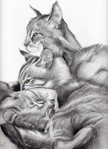 Dessin intitulée "chats" par Talie, Œuvre d'art originale, Crayon