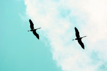 Фотография под названием "Crane(s) V" - Tal Paz-Fridman, Подлинное произведение искусства, Цифровая фотография
