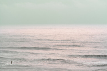 摄影 标题为“Winter Surfing IV” 由Tal Paz-Fridman, 原创艺术品, 数码摄影