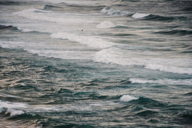 Fotografía titulada "Winter Surfing V" por Tal Paz-Fridman, Obra de arte original, Fotografía digital