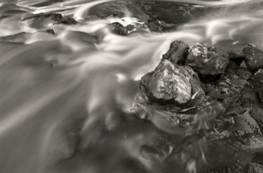 Fotografia zatytułowany „The Stream” autorstwa Tal Paz-Fridman, Oryginalna praca, Fotografia filmowa