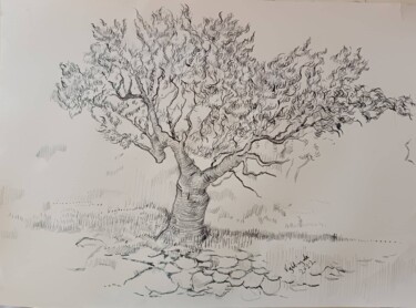 Zeichnungen mit dem Titel "Olive tree" von Tam Nightingale, Original-Kunstwerk, Tinte