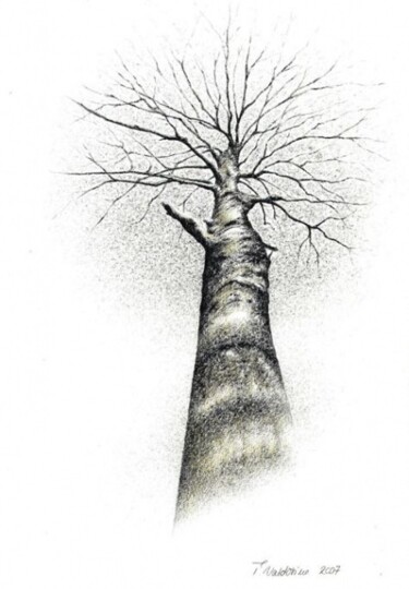 Zeichnungen mit dem Titel "Nativer Baum aus Ch…" von Tamara Valdovino, Original-Kunstwerk