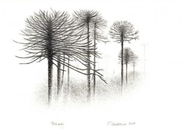 Zeichnungen mit dem Titel "Araucaria" von Tamara Valdovino, Original-Kunstwerk
